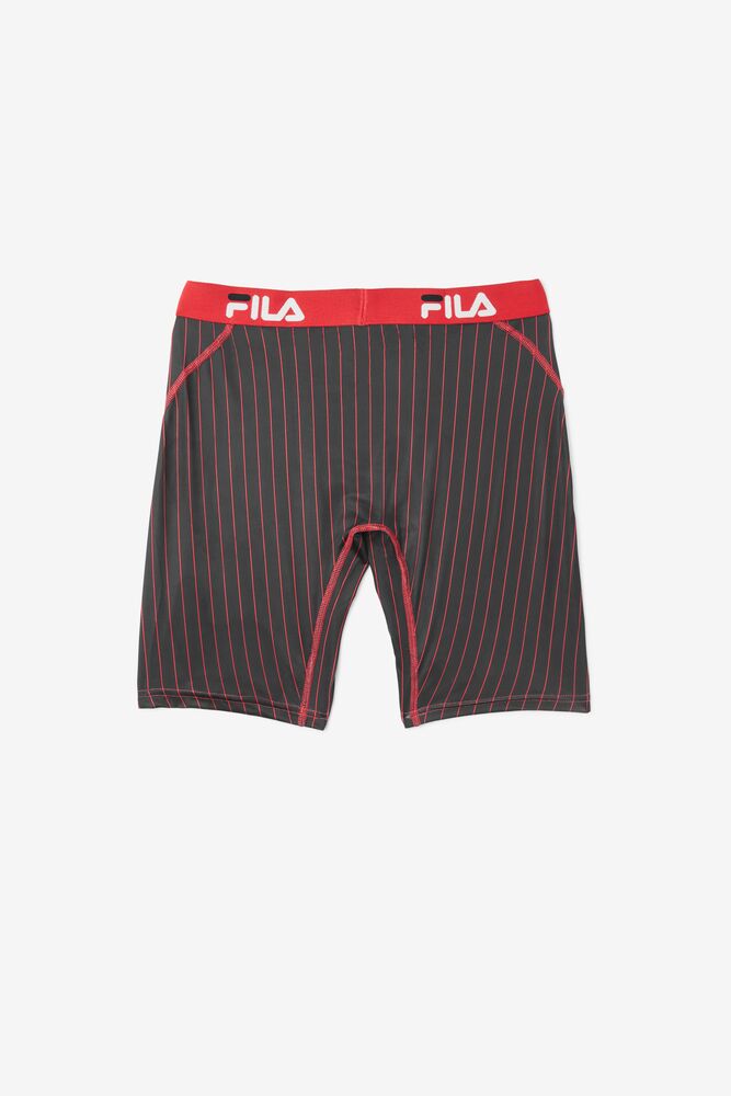 boxer fila